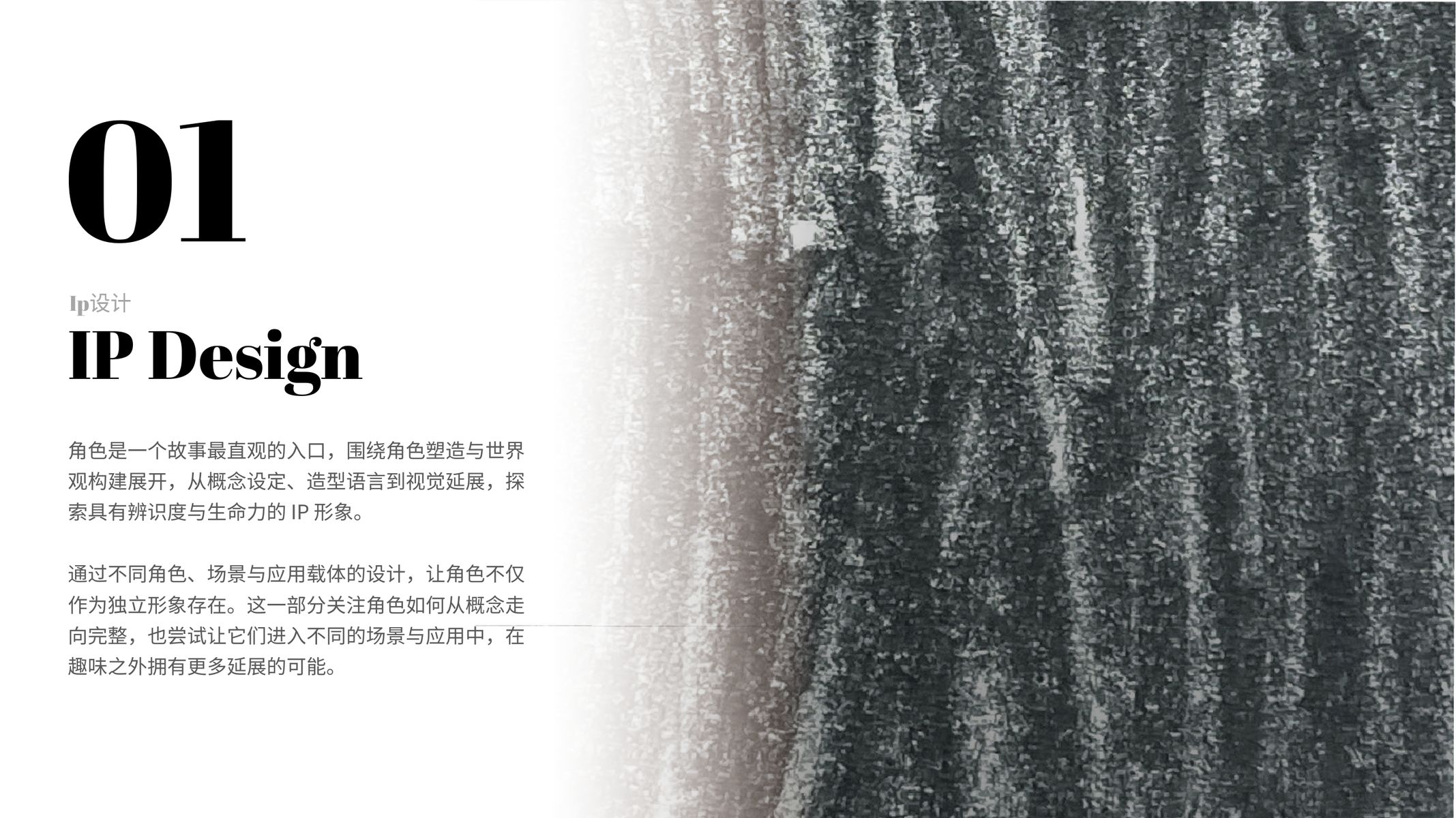 IP 设计章节