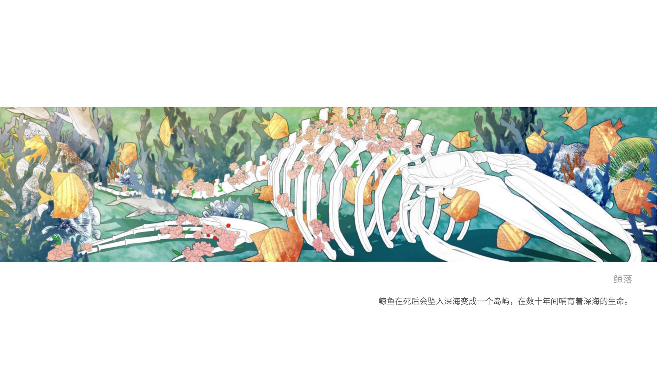 Whale Fall 创意叙事