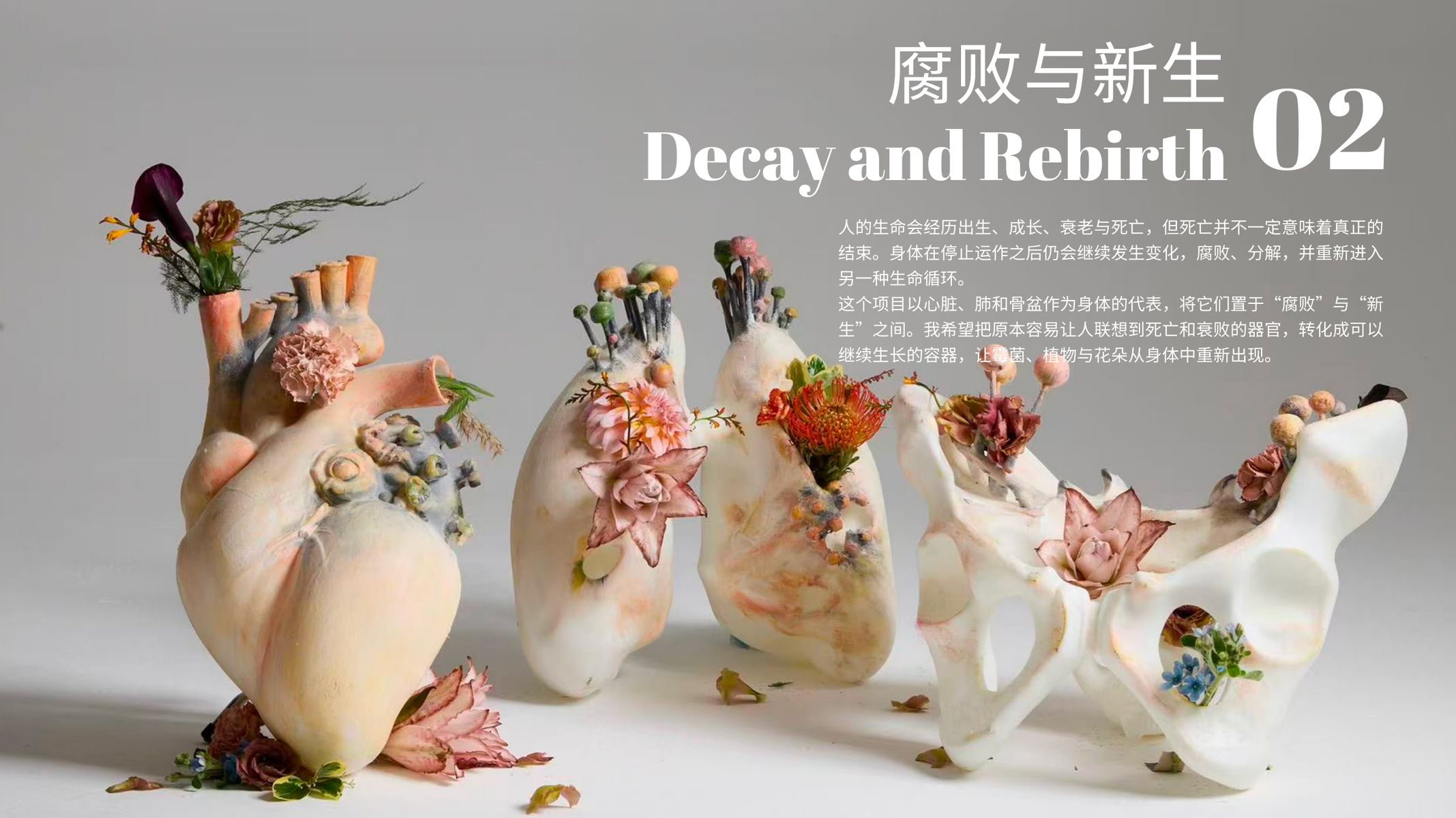 Decay and Rebirth 实验媒介